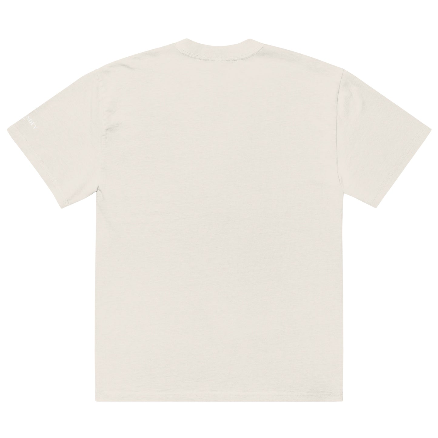 Chaundey Oversized Faded T-Shirt